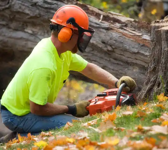 tree services New Bremen